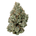 SUPER LEMON