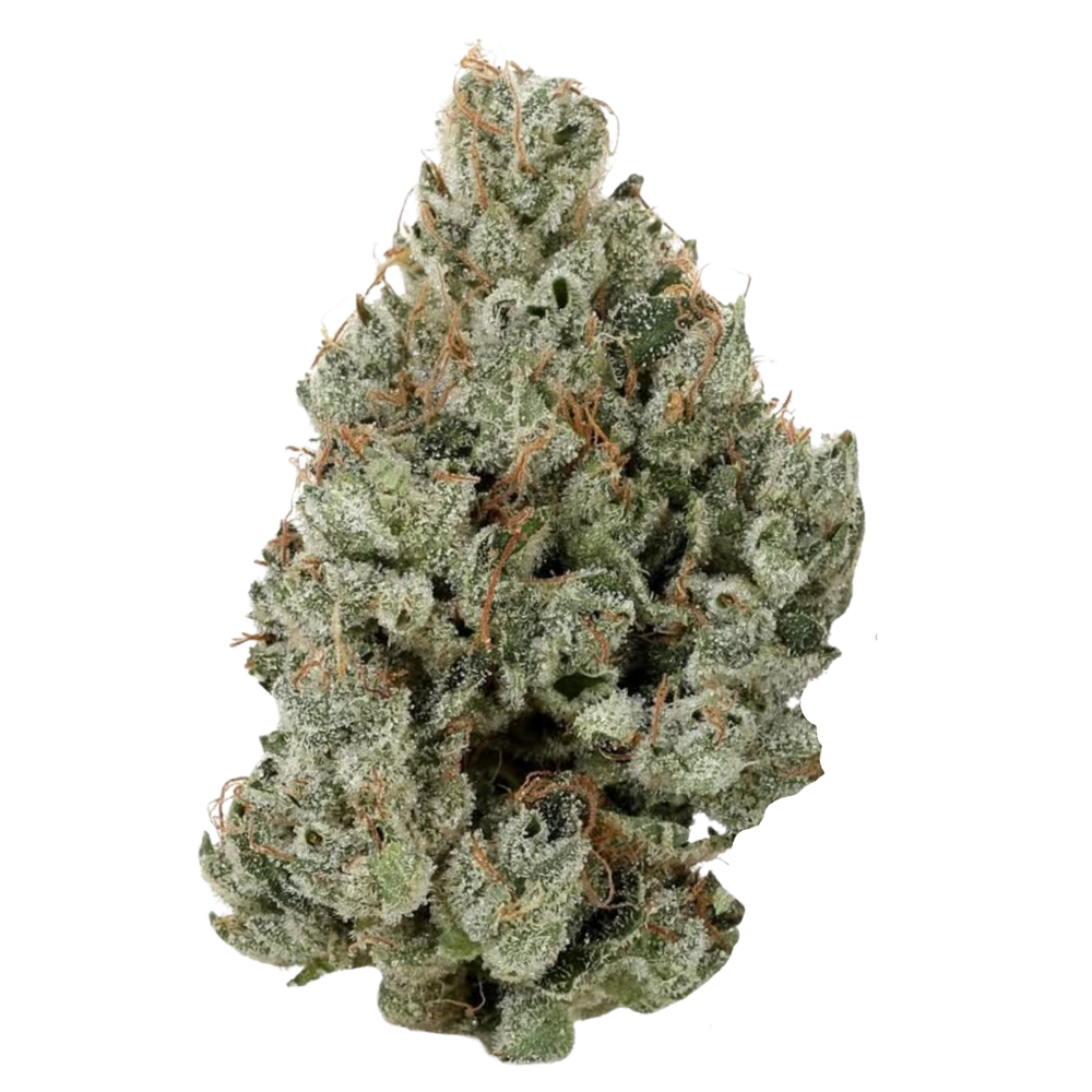SUPER LEMON