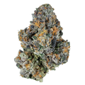 LEMON CHERRY GELATO