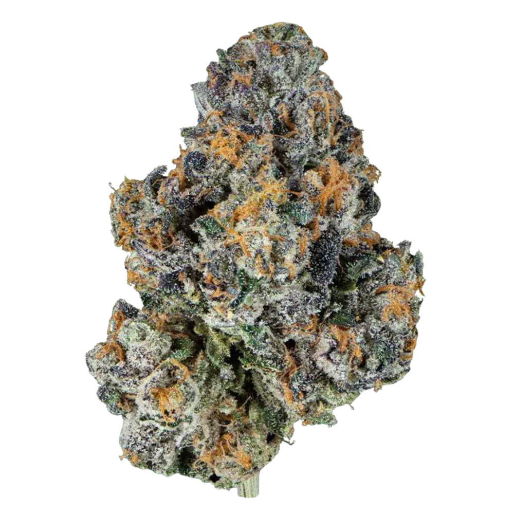 LEMON CHERRY GELATO