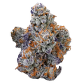 ZOUR DRAGONFRUIT