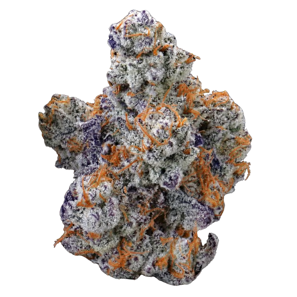 ZOUR DRAGONFRUIT