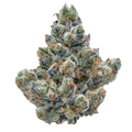 WHITE GUAVA GELATO