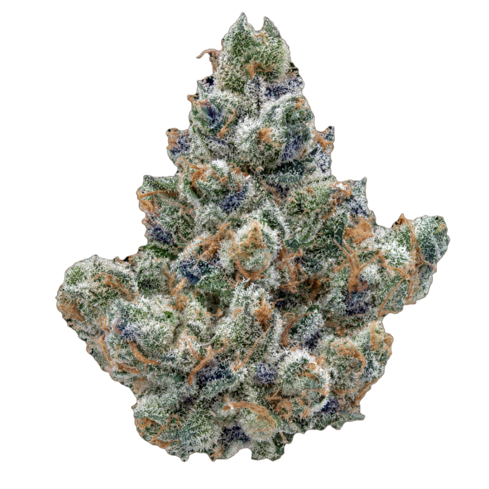 WHITE GUAVA GELATO
