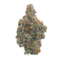 BLUEBERRY RUNTZ