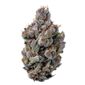 KHALIFA KUSH
