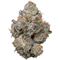 Devil's Candy