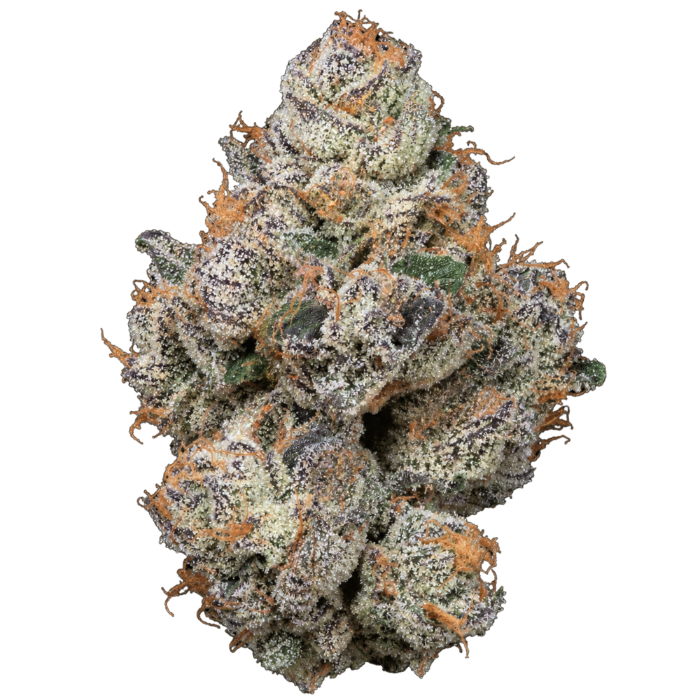 Devil's Candy