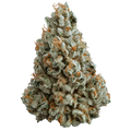 Lit OG