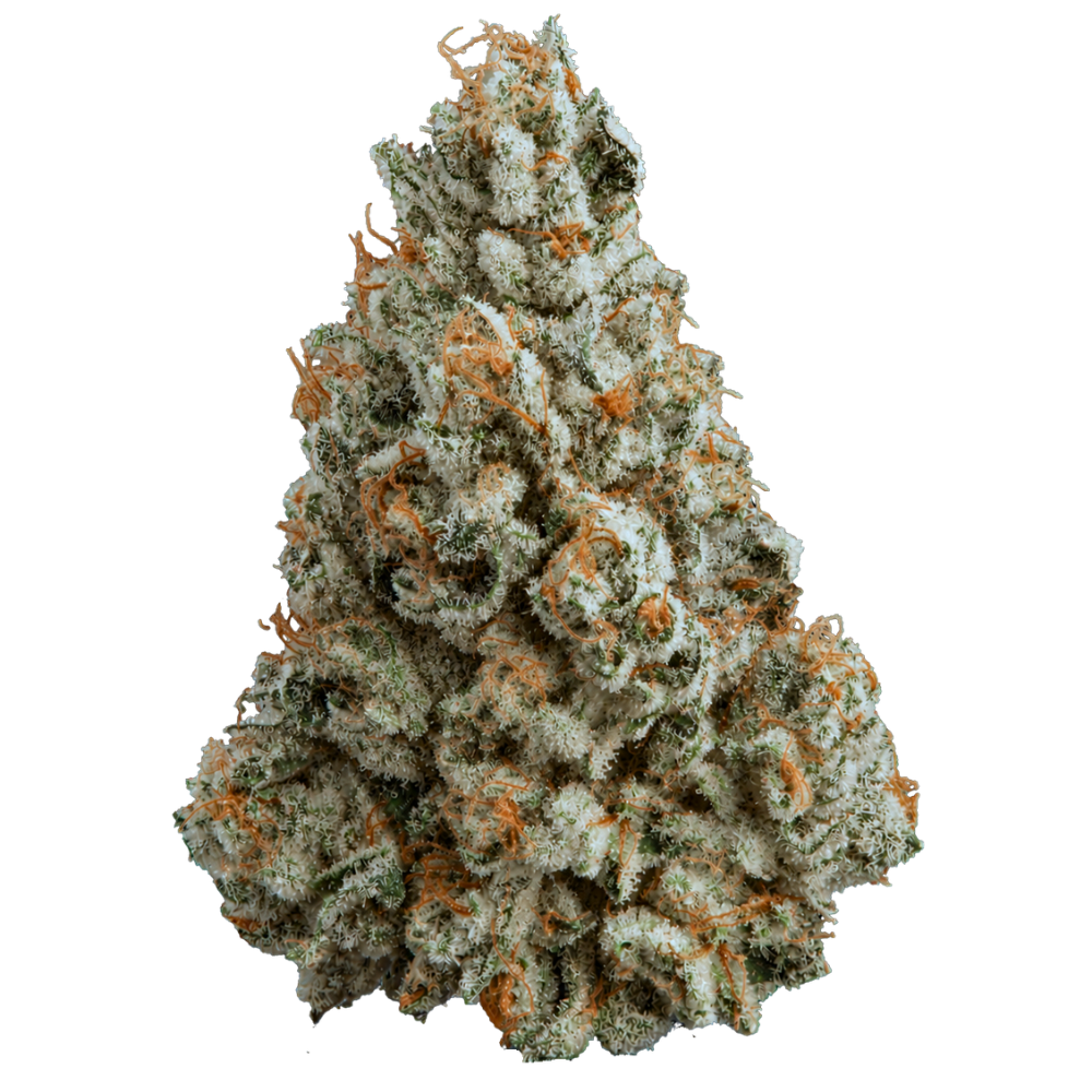 Lit OG