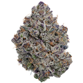 PI-CHEW