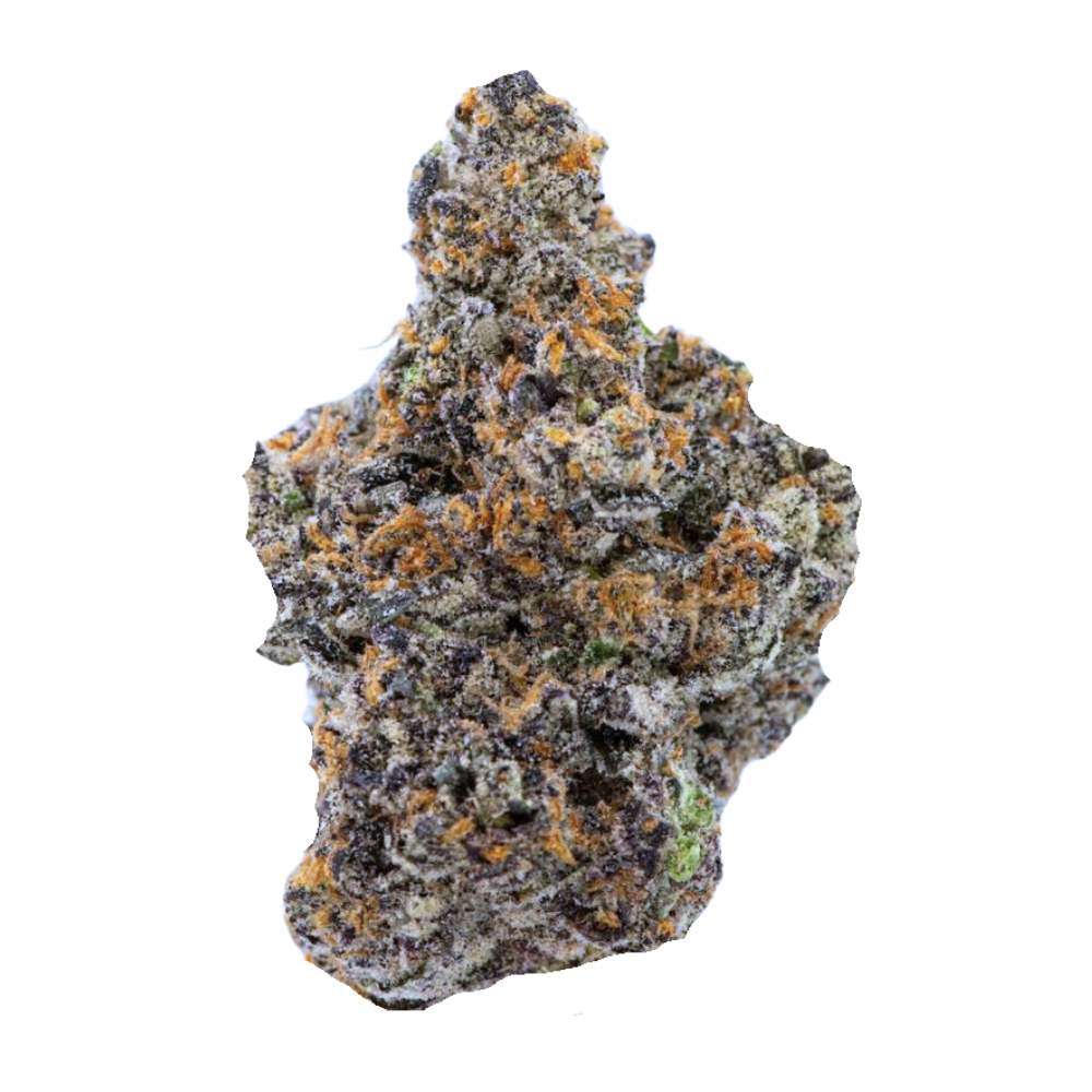 BLACK CHERRY GELATO