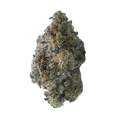 BLUE BUBBLEGUM