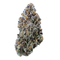 Blue Guava