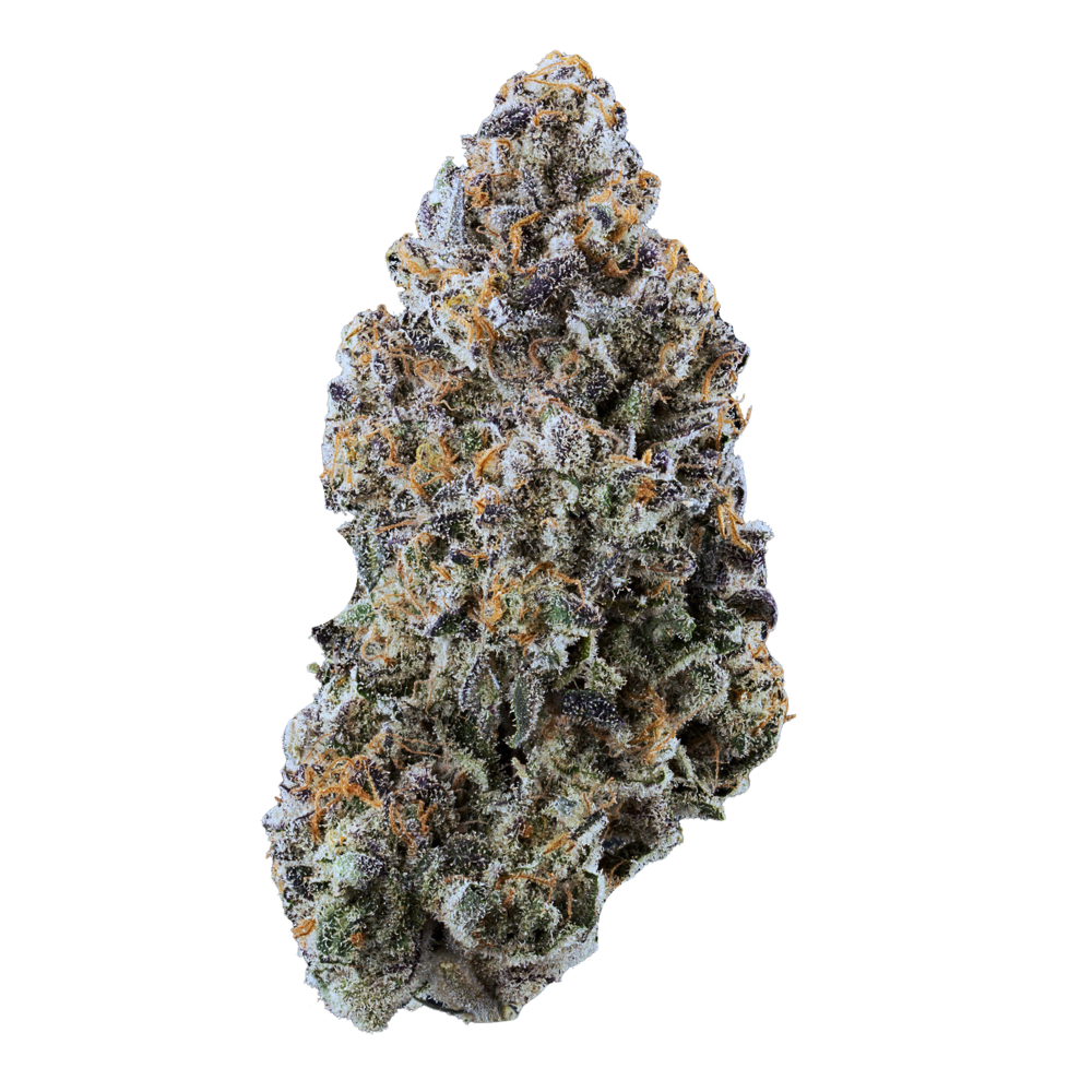 Blue Guava